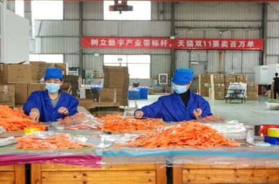 開(kāi)門紅!天貓雙11首日產(chǎn)業(yè)帶&ldquo;廠貨&rdquo;成交額是去年17倍!